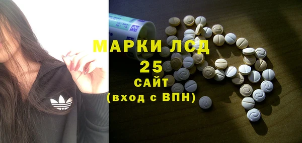 твердый Бородино