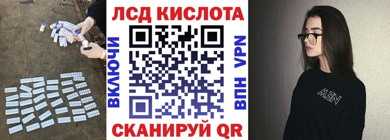 где можно купить   Гатчина  MEGA tor  Лсд 25 экстази ecstasy 