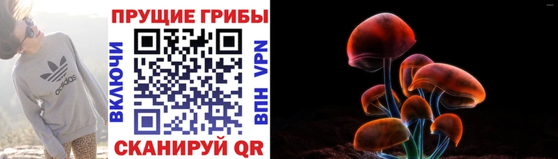 Псилоцибиновые грибы MAGIC MUSHROOMS  Гатчина 